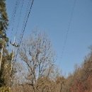 정태진 묘 이미지