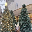 톰보이 | 동부산롯데아울렛 스튜디오톰보이겨울코트후기