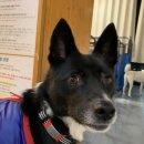 한아름 쉼터 이미지