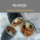 김밥에진심 | 김밥에 진심, 백나예김밥 효자촌점 방문 후기: 매콤오징어김밥