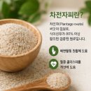 실/섬유제품 소매업 - 남양주시 다산순환로 20 | 차전자피환 효능 먹는법 후기 식이섬유 추천 가루 분말 차이점 포함
