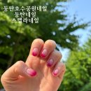 스텔라네일샵 | [동탄호수공원네일] 동탄네일 꼼꼼한 네일샵 추천 '스텔라네일' 보라 시럽 그라데이션 대만족 후기
