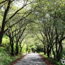 남해-208 이미지