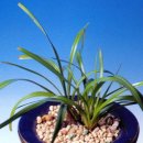 선영2호 이미지