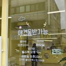 [중흥동 카페]“하이데이지”, 롤케이크 디저트 맛집, 애견동반카페
