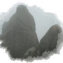 화접5리 이미지