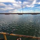 서해대교바다낚시터 이미지