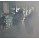 미동초등학교 이미지