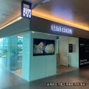 [심퍼티쿠시] 서울역 그랜드센트럴 양식 레스토랑 심퍼티쿠시 szimpatikus