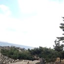 바다와 솔향기 이미지