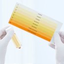 더퀸즈의원 이미지