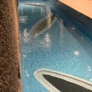 운스테이 이미지