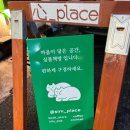 카페심플 | 동대구역 근처 놀거리, 고양이가 있는 독립서점 카페 심플책방 후기