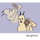 오복호두과자 네이버블로그