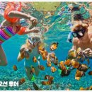 오션투어 티스토리