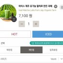 부민상복 | DT점에서 아이스 제주 유기농 말차로 만든 라떼와 우도 땅콩 데니쉬롤 후기 [20년10월/4차-1박2일](2-7)