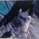 사금농장 이미지