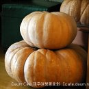 장독대김치찜 이미지