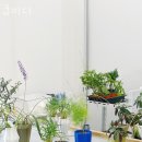 큐이디 - 고양시 덕양구 권율대로 668 | 큐이디