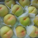 고골농장 이미지