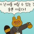 서동통돼지 이미지