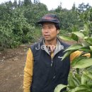 김종우 농장 이미지