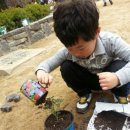 해솔예술어린이집 이미지