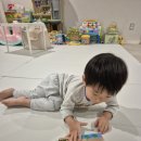 책과 함께 날아라~수학보드 | 29개월 아기 수학책 추천/ 돌잡이 수학 교재, 엄마표 홈스쿨