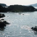 솔바다펜션 이미지