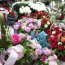 67..2025년 9월 12일 ( &#39;효도 명절&#39; 만든다고?.. 며느리도 사위도 두렵다 ) 이미지