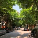 압구정-121 이미지