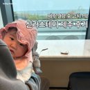 이호방 | 제주 결항 후 신라스테이 플러스 이호테우 후기 | 5개월 아기와 1박
