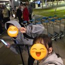 따사로움 어린이공원 | 퍼스 여행 1~2일차 코스 총정리｜ 런던코트·사우스퍼스·동물원·엘리자베스키·블루보트하우스