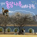 낙동강변25 | 김해 용당나루 매화공원 다녀온 후기 (개화시기, 주차, 포토존 정보) 이색데이트 추천 강아지 산책 아이...