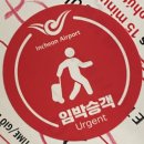 한유약국 | 다낭 3박 5일 패키지 여행 후기 (내돈내산)