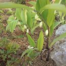 세실농장 이미지