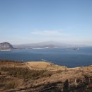 살랑제주 이미지