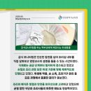 한들초등학교 이미지