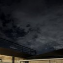 탠 포지티브 이미지