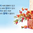 감사절 프로그램.2 이미지