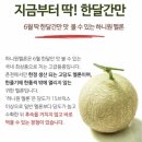 못골청과 네이버블로그