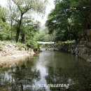 어리1 1교 이미지