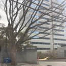 루안 | [서울 스몰웨딩홀 투어 후기] 상암 스탠포드호텔/역삼 파크루안 홀투어 후기(계약❌, 견적공유✅)