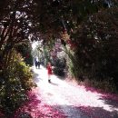 루시드봉봉 이미지