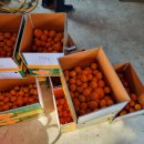 정진수농장 이미지