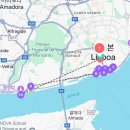 [Lisbon/ 리스본] 4박 5일 자유여행 일정 공유 #에어비엔비추천 #리스본투어추천 #나타추천 #맛집