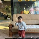 323 | [대천 가성비 숙소] 323콘도 내돈내산 후기: 아이와 가기 좋은 깔끔한 온돌방 취사가능 가성비숙소