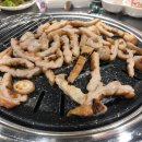 불막열삼 이미지