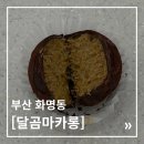 달곰마카롱 - 북구 양달로 78 | 달곰마카롱 ｜ 부산 화명동 달곰마카롱 - 두바이 쫀득쿠키 예약 후기