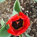 운암지수변공원 이미지